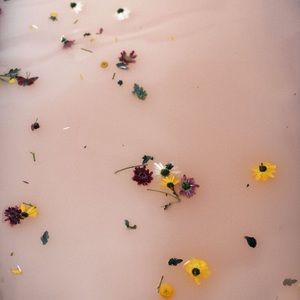 Meet your Posher, Alexa